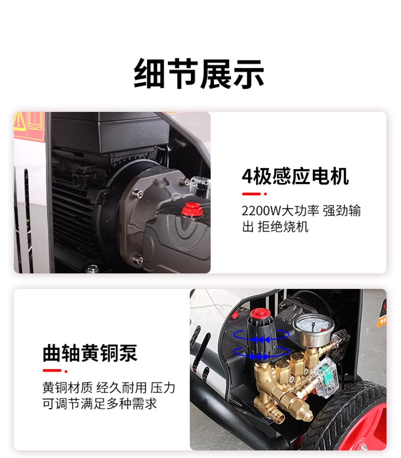 ALE100公斤高压清洗机(图6)