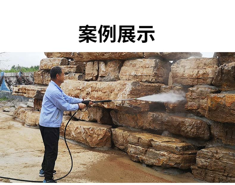 ALE100公斤高压清洗机(图4)